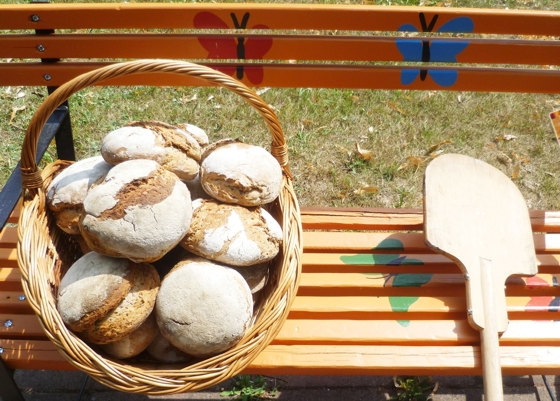Backen web